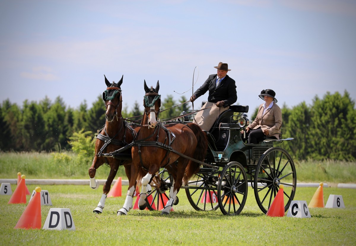 Keispelt_CAI_2019_12