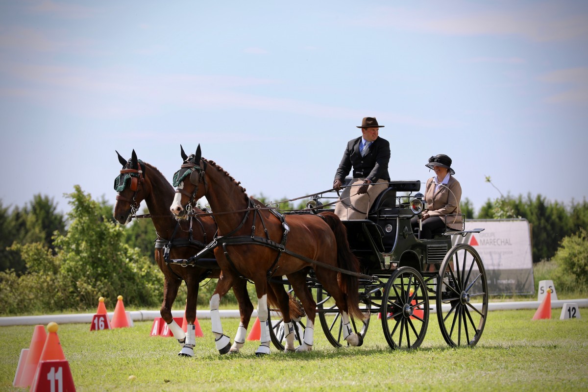 Keispelt_CAI_2019_13