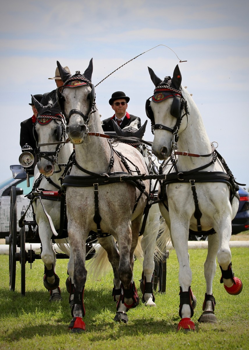 Keispelt_CAI_2019_16