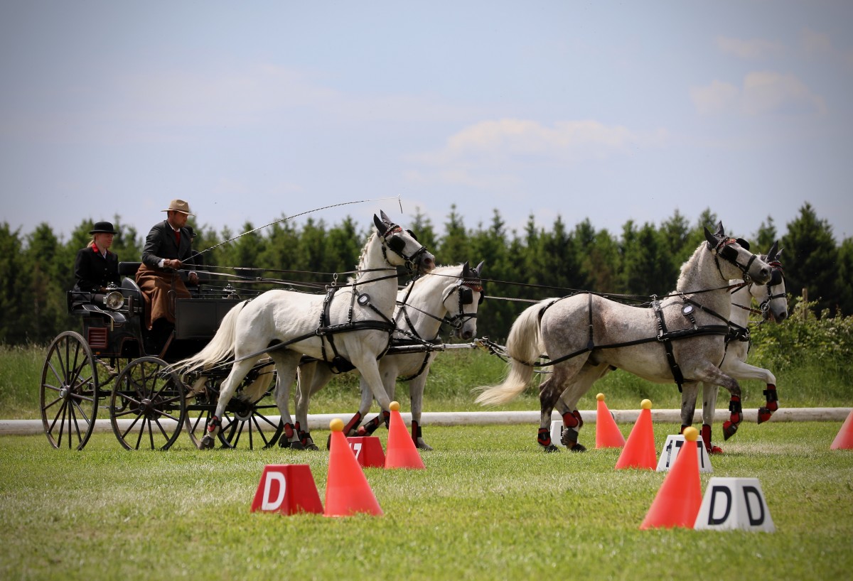 Keispelt_CAI_2019_18