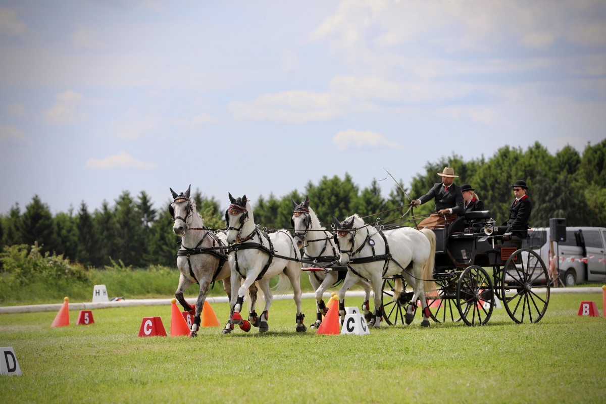 Keispelt_CAI_2019_19