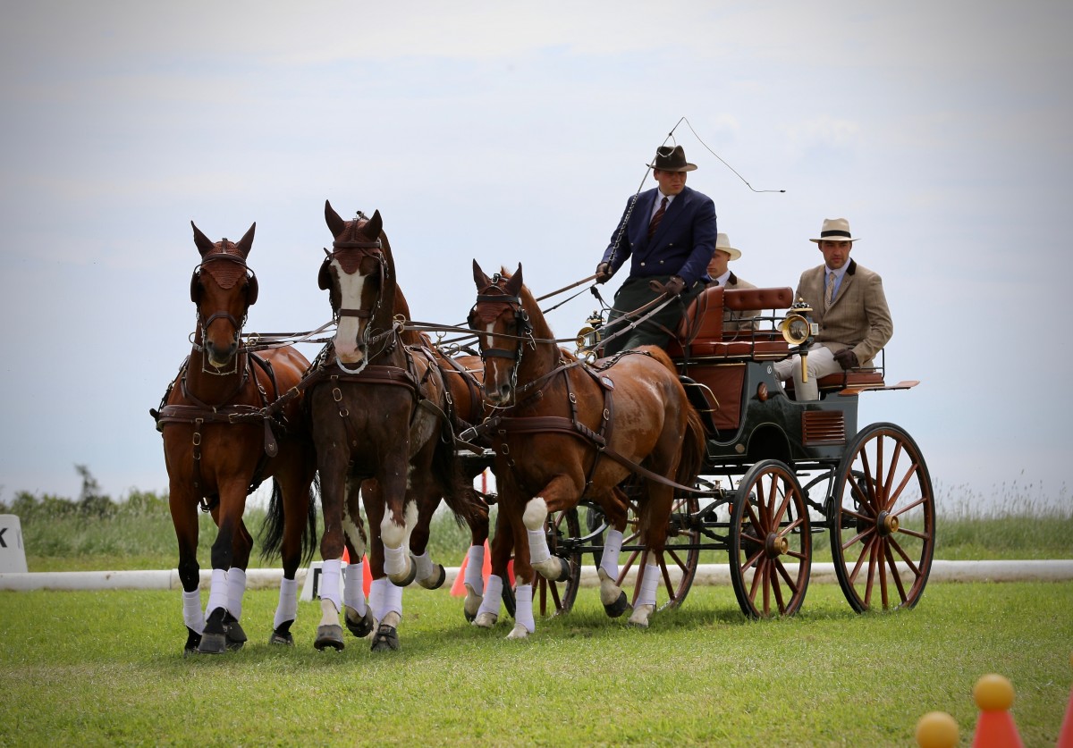 Keispelt_CAI_2019_20