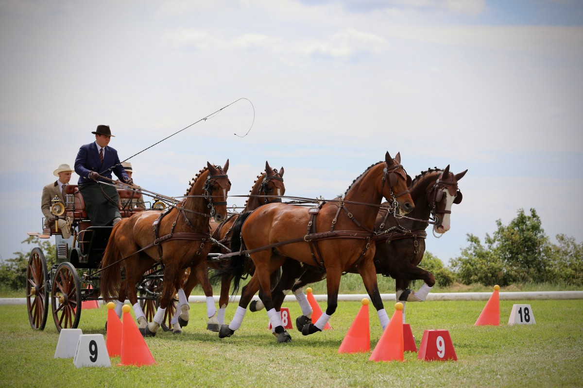 Keispelt_CAI_2019_21