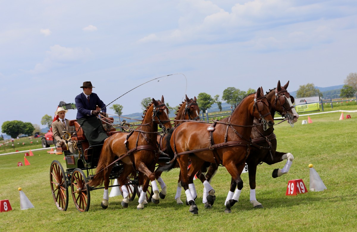 Keispelt_CAI_2019_22