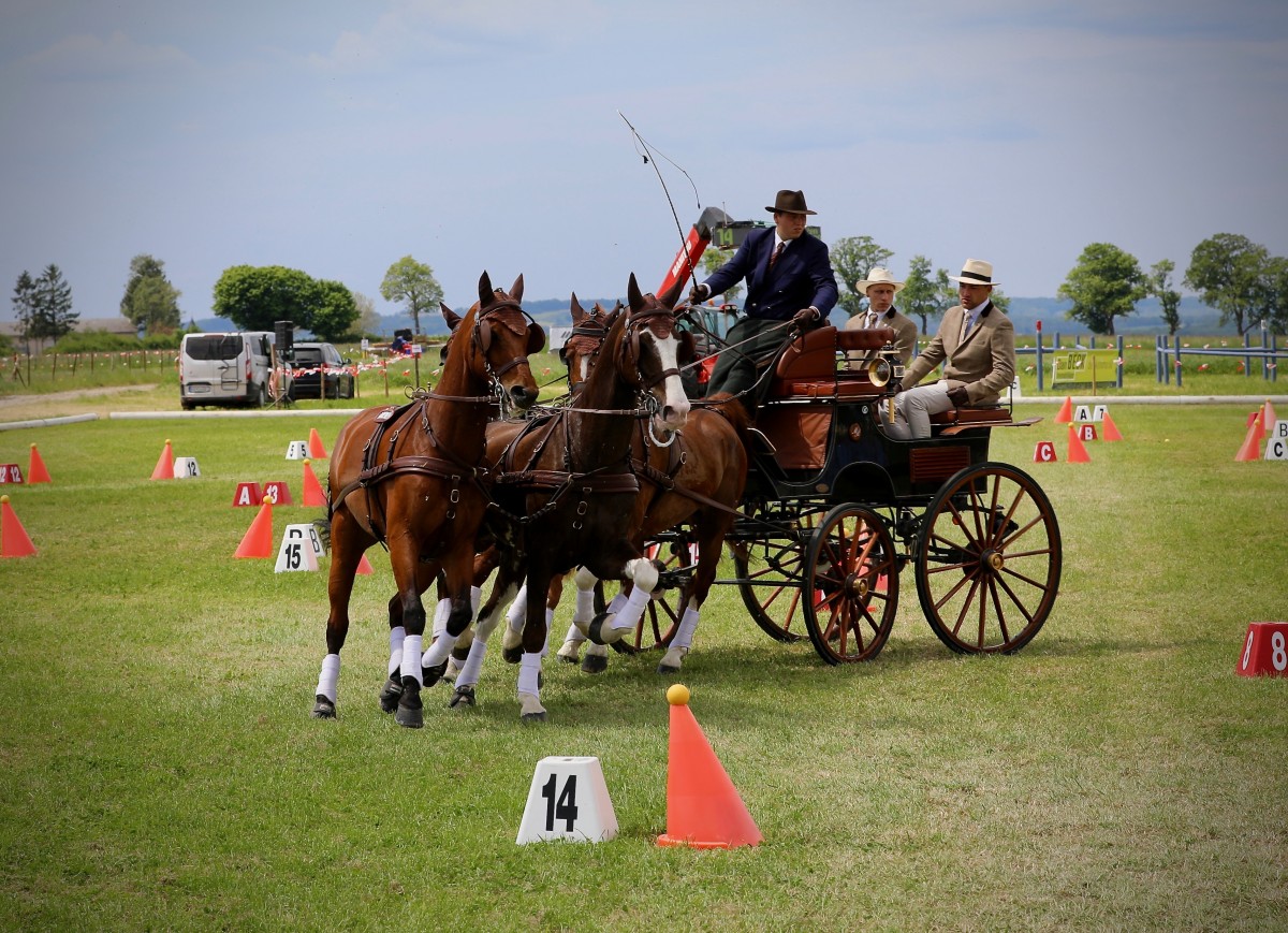 Keispelt_CAI_2019_23