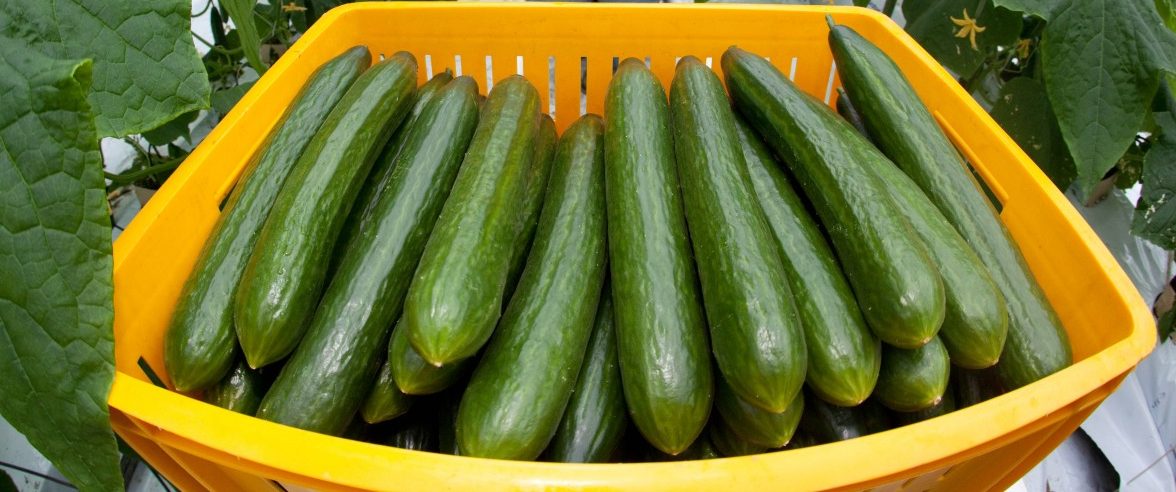 Bürokratiemonster Brüssel? Zwischen Klischee und Kampfbegriff