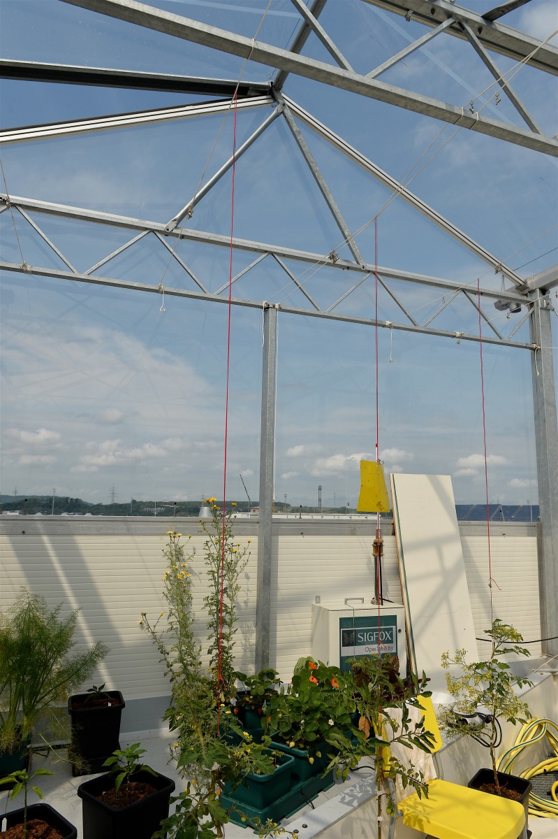 05.06.2019_Editpress_475108