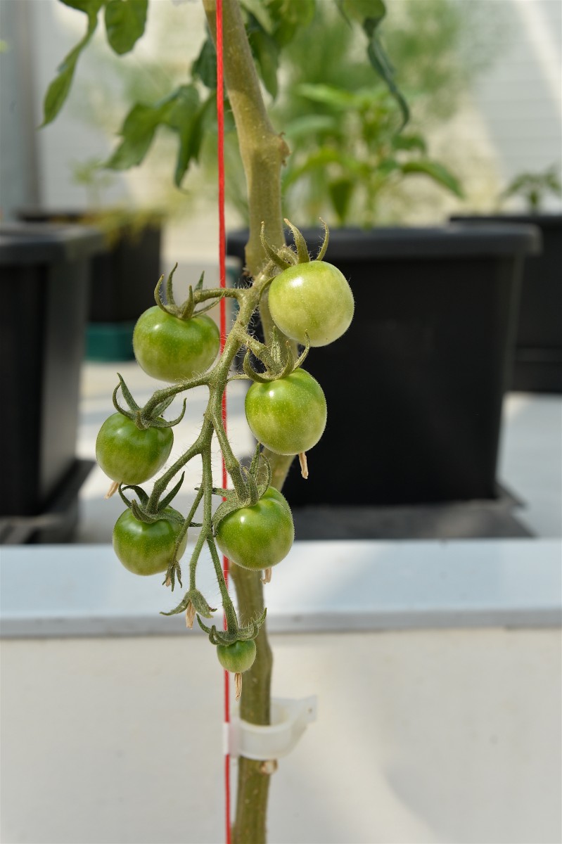 05.06.2019_Editpress_475110