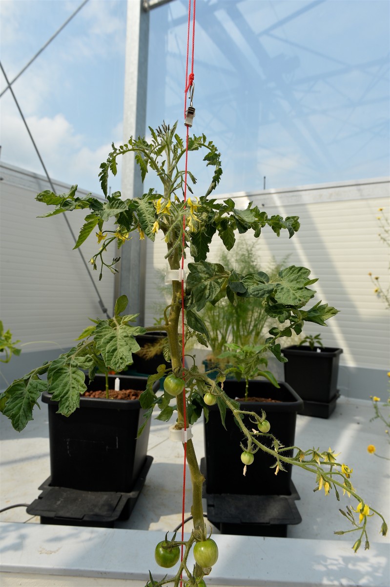 05.06.2019_Editpress_475111