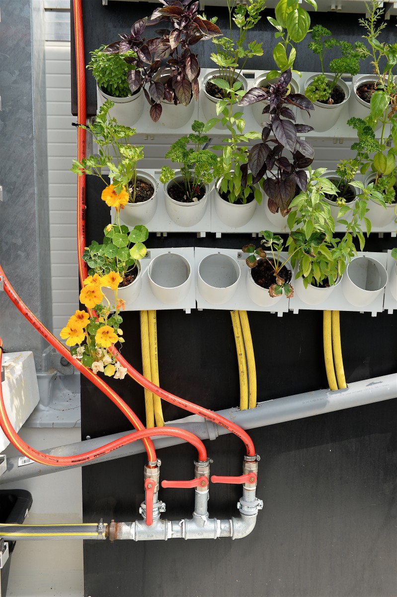 05.06.2019_Editpress_475114