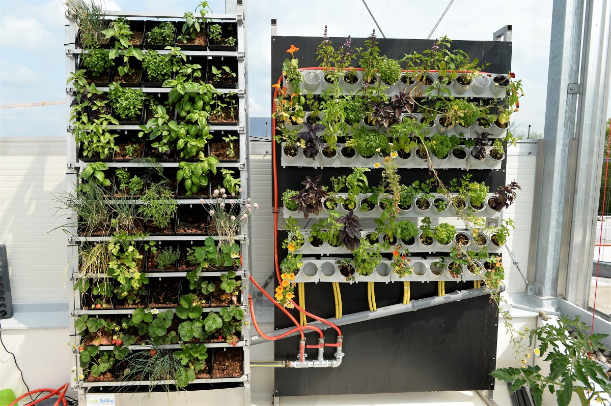 05.06.2019_Editpress_475115