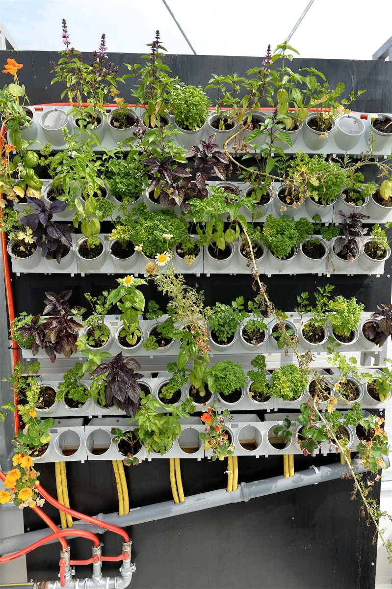 05.06.2019_Editpress_475116