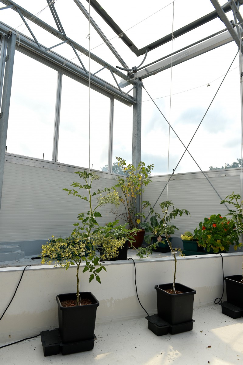 05.06.2019_Editpress_475117