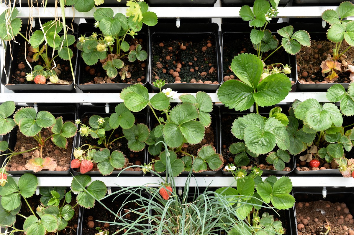 05.06.2019_Editpress_475119