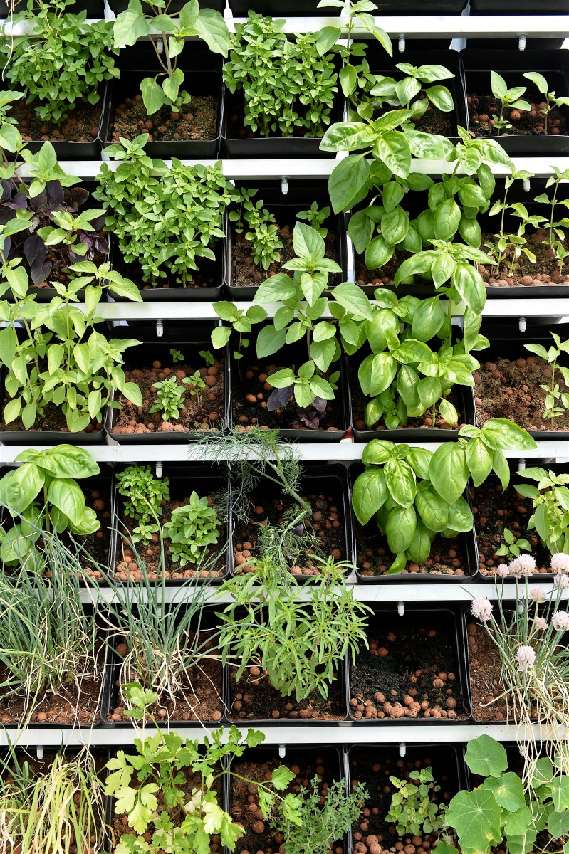 05.06.2019_Editpress_475120