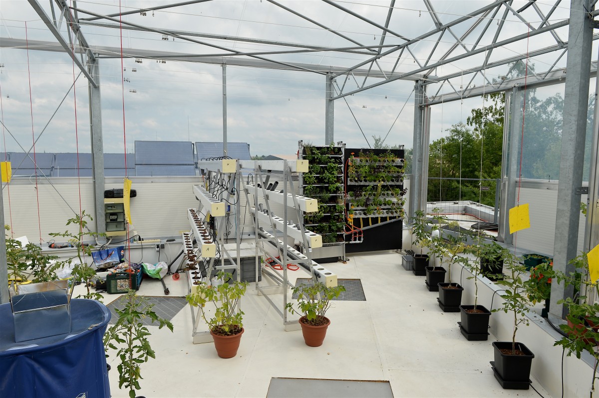 05.06.2019_Editpress_475121