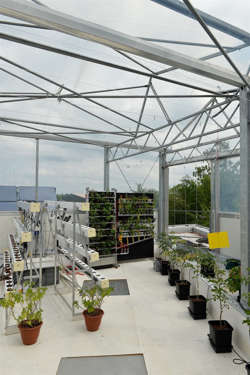 05.06.2019_Editpress_475122