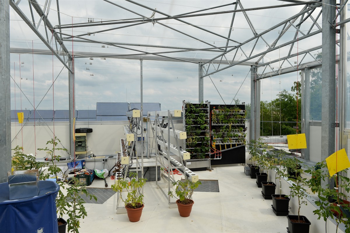 05.06.2019_Editpress_475123