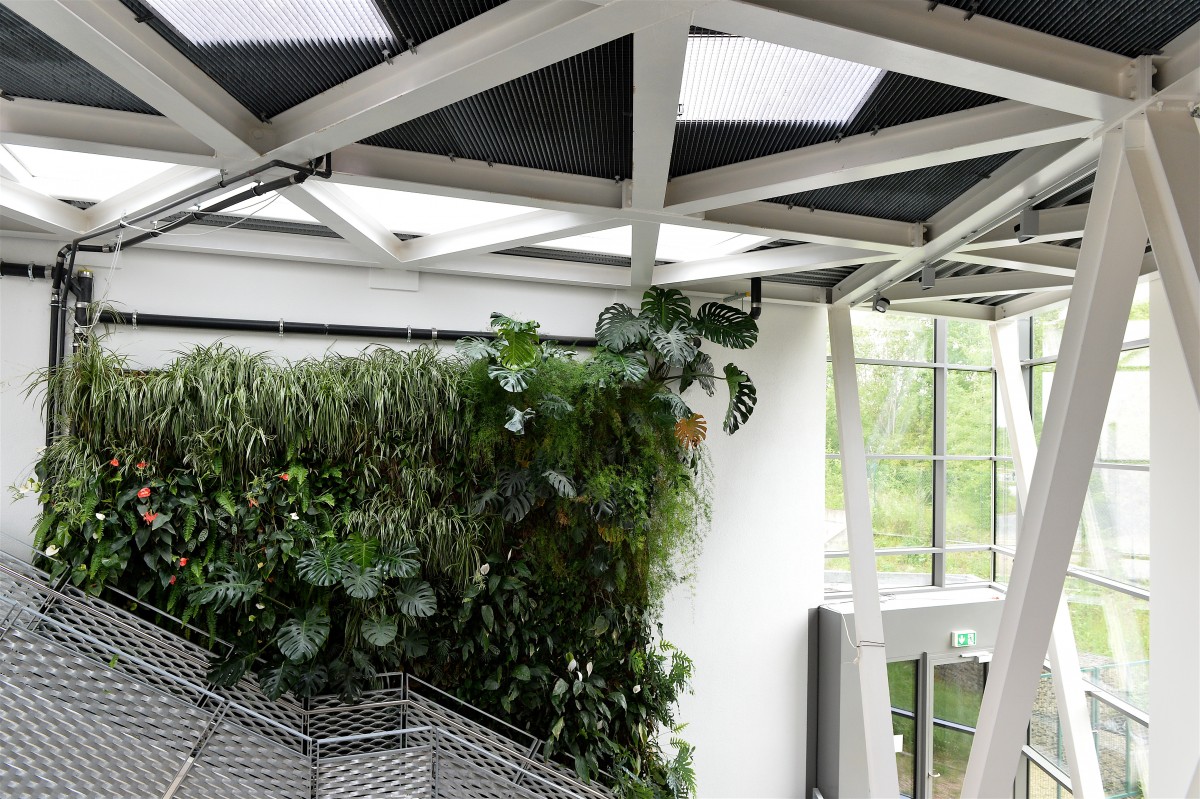 05.06.2019_Editpress_475126