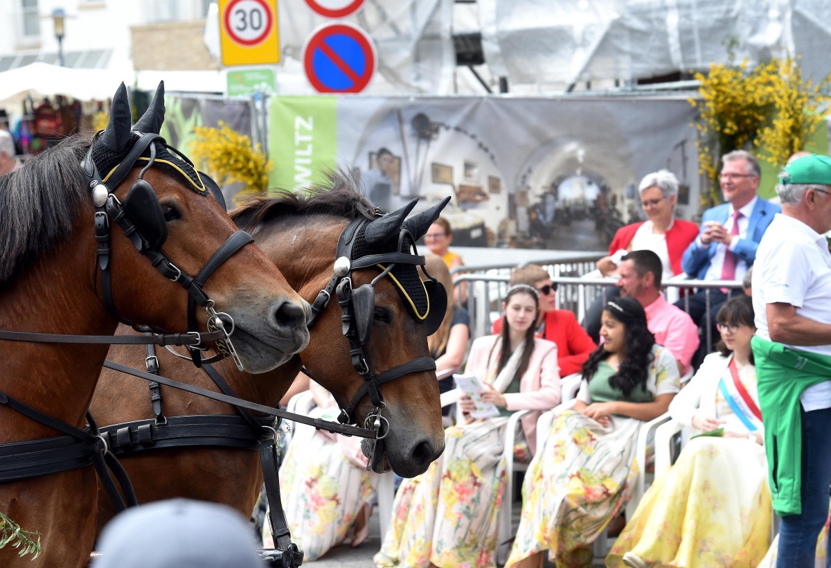 10.06.2019_Editpress_475719