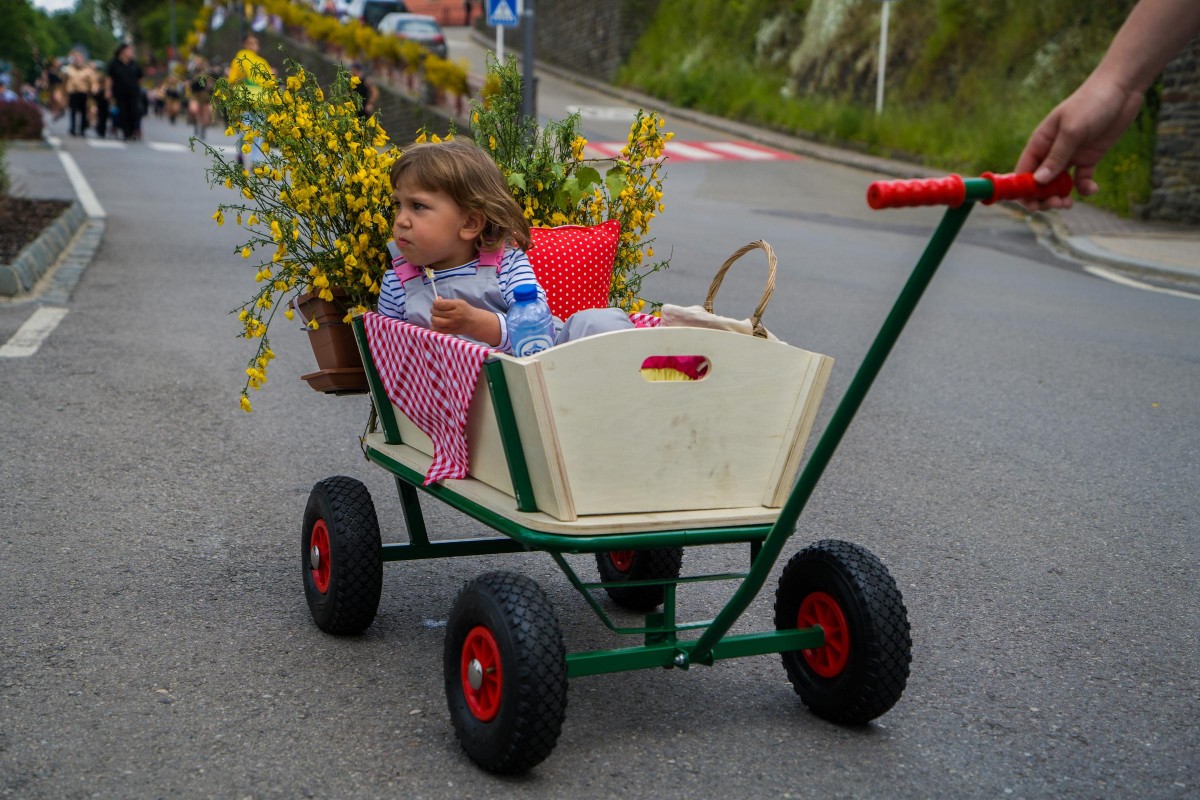 20190611 Geenzefest 10_475788