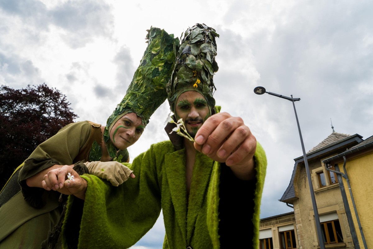 20190611 Geenzefest 13_475786