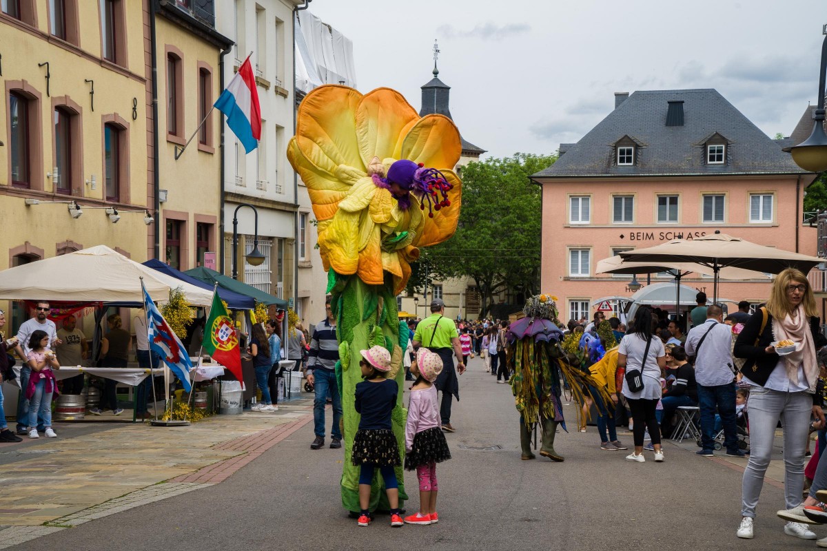 20190611 Geenzefest 8_475785