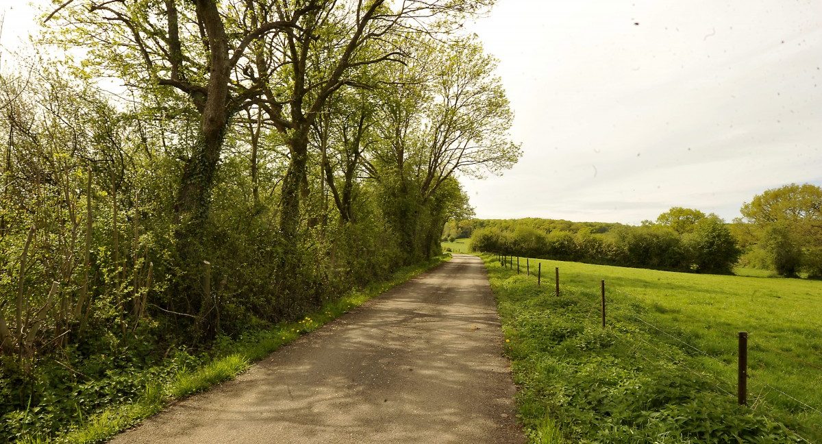 Grünes Licht für Mammutprojekt in Dippach: „Schuller Park“ wächst bis nach Sprinkingen