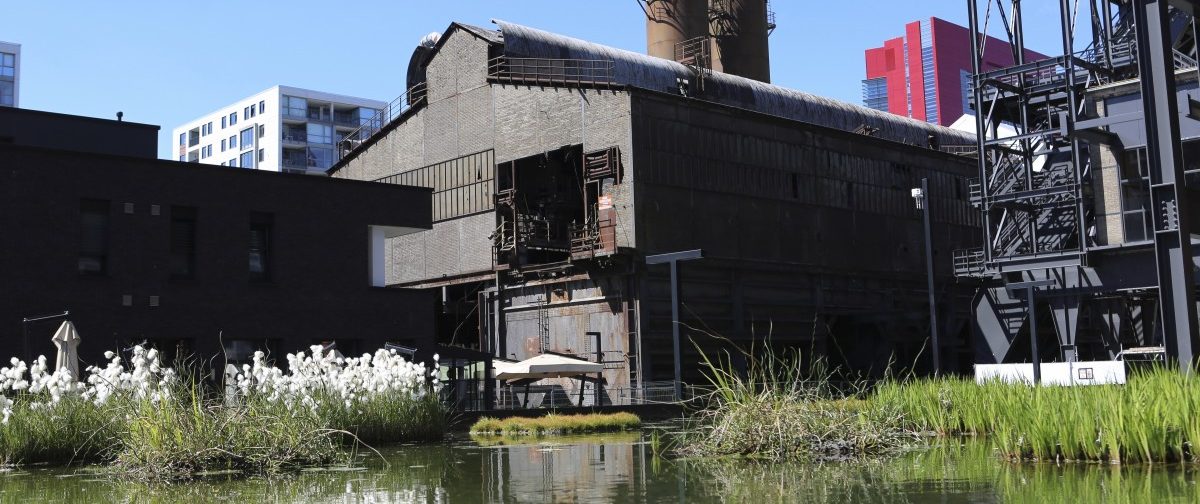 Möllerei wird neue Gebläsehalle: Zehn alternative Orte in Belval für die Europäische Kulturhauptstadt