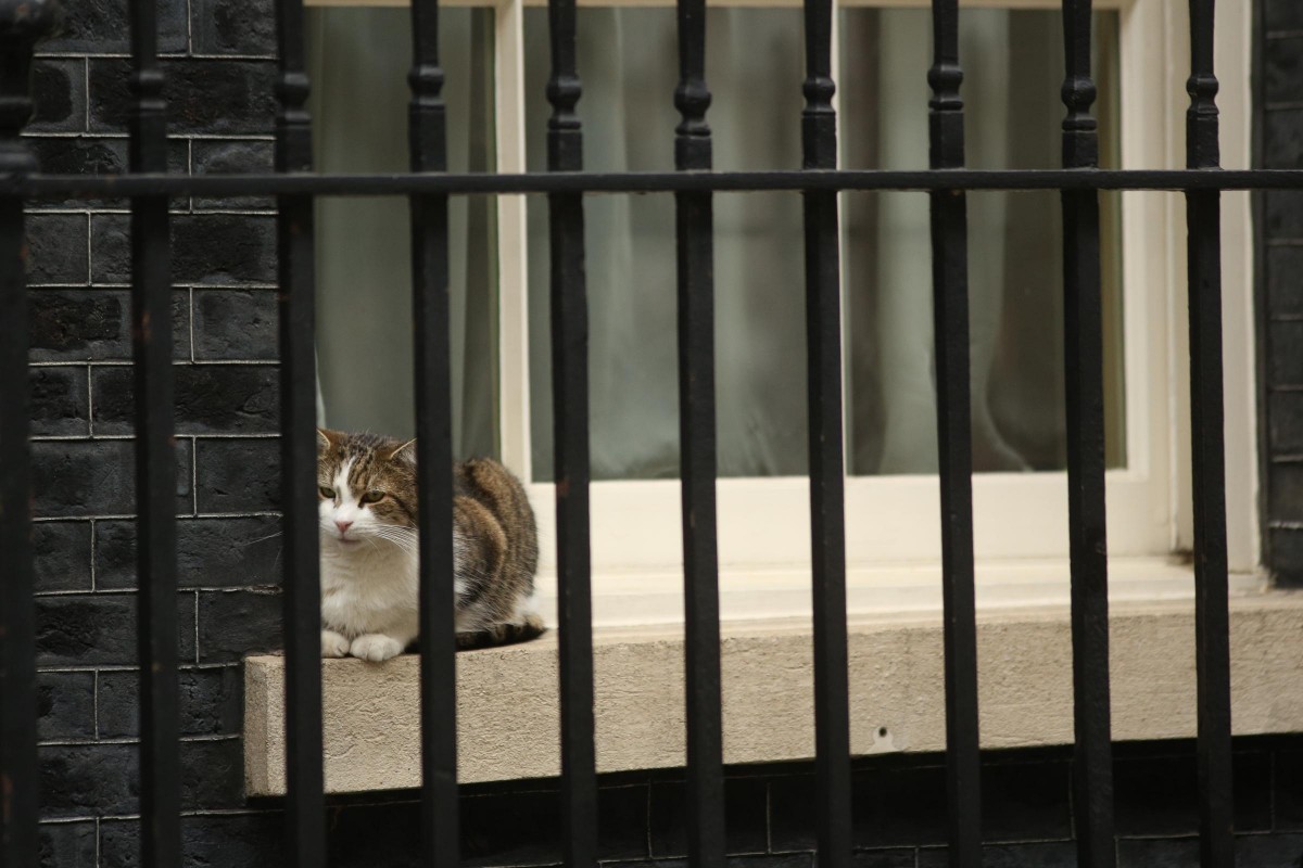 US_Praesident_Trump_61535984urn_binary_dpa_com_20090101_190604-90-008754-FILED