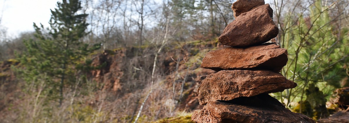 1.000 Ideen fürs Unesco-Label: Kandidatur um „Man and Biosphere“ wird weiter vorbereitet