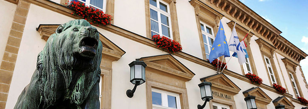 5.216 Schüler, 450 Lehrer, 19 Schulgebäude - Gemeinderat redet über Hauptstadtschulen