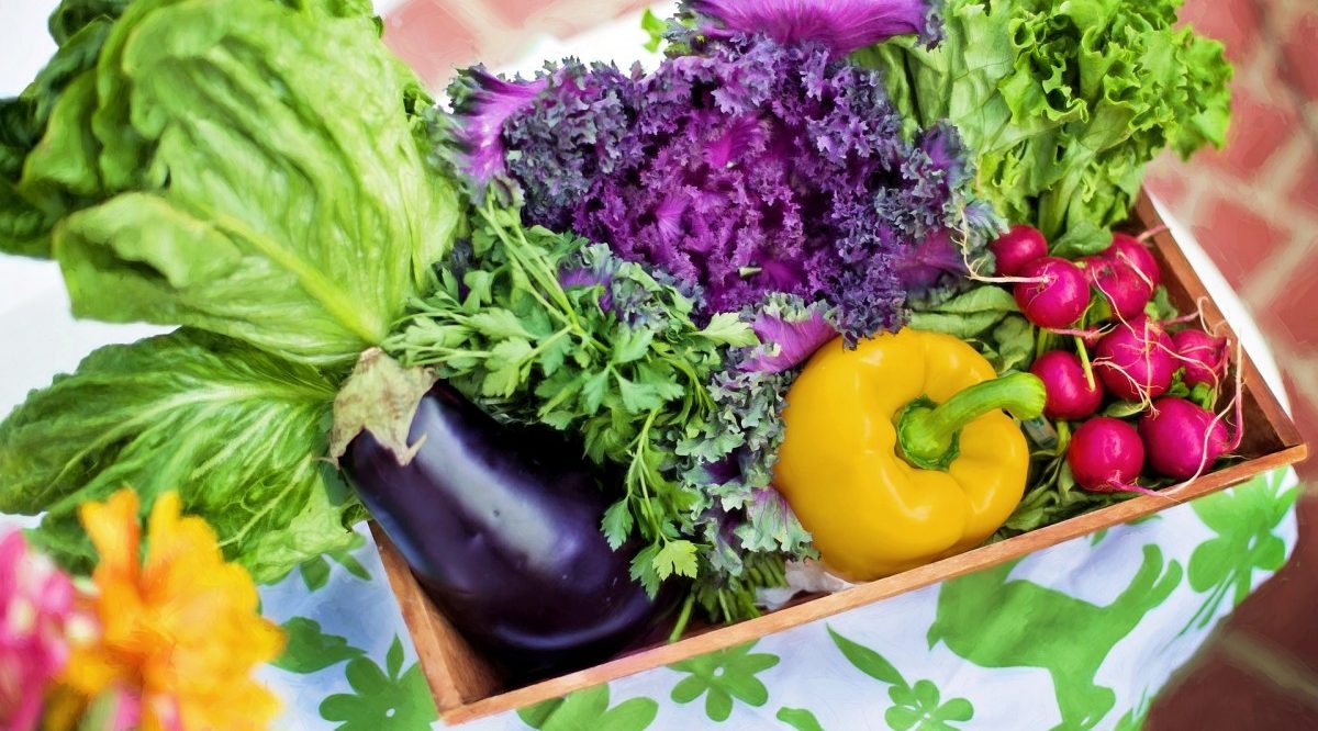 Bis 2025 soll ein Fünftel der Gesamtanbaufläche „biologisch“ sein