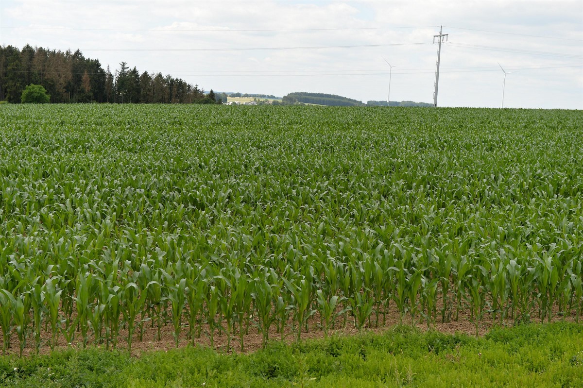 02.07.2019_Editpress_480493