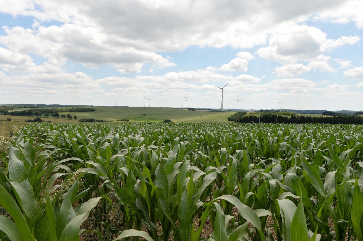 02.07.2019_Editpress_480494