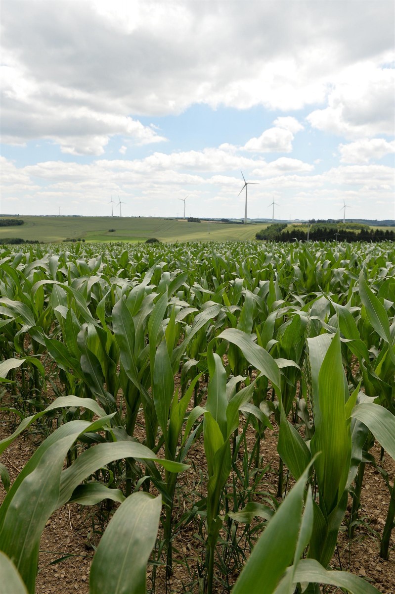 02.07.2019_Editpress_480495