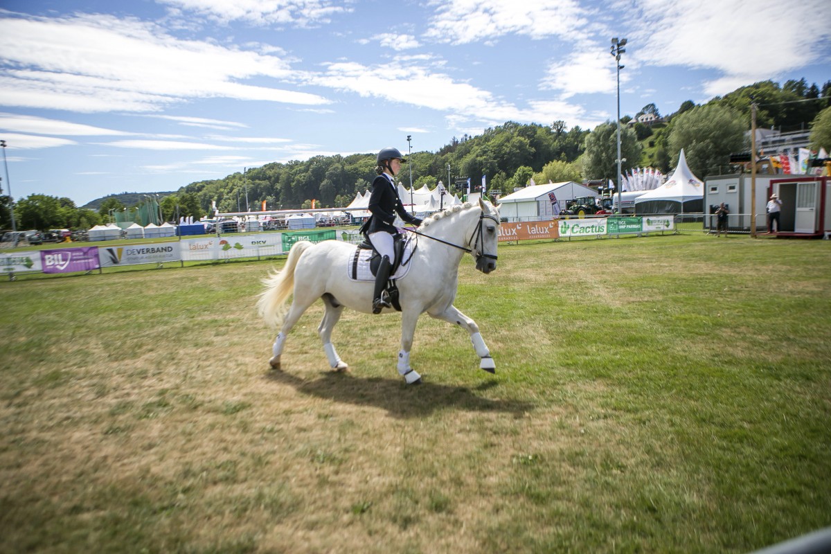 05.07.2019_Editpress_480853