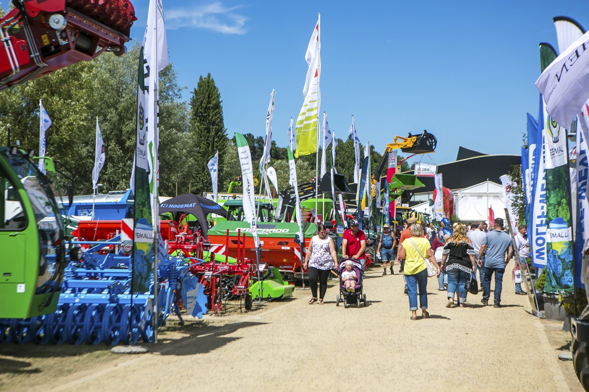 05.07.2019_Editpress_480863