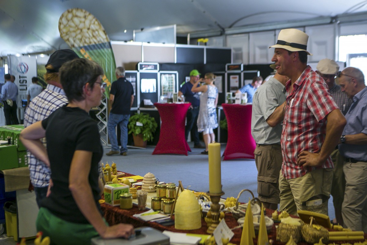 05.07.2019_Editpress_480867