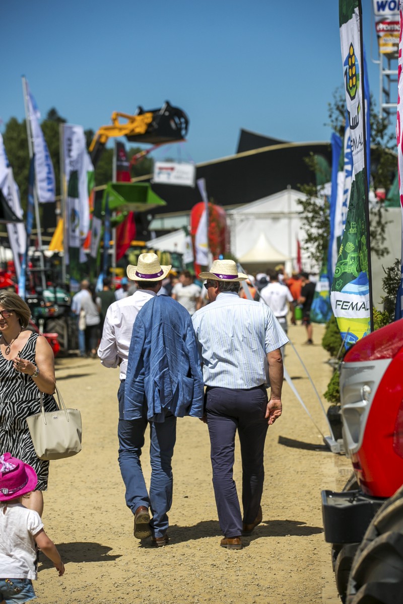 05.07.2019_Editpress_480868