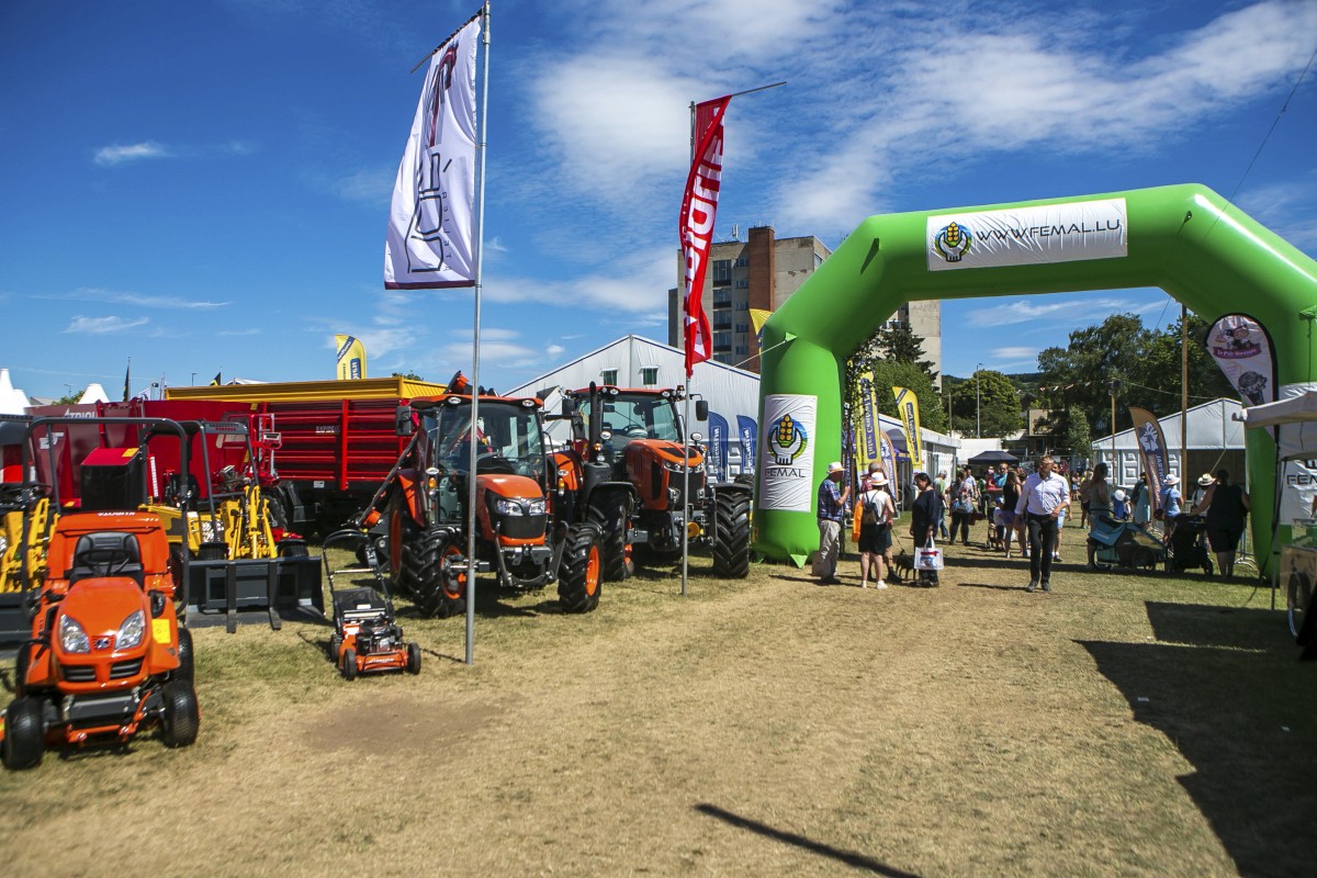 05.07.2019_Editpress_480872