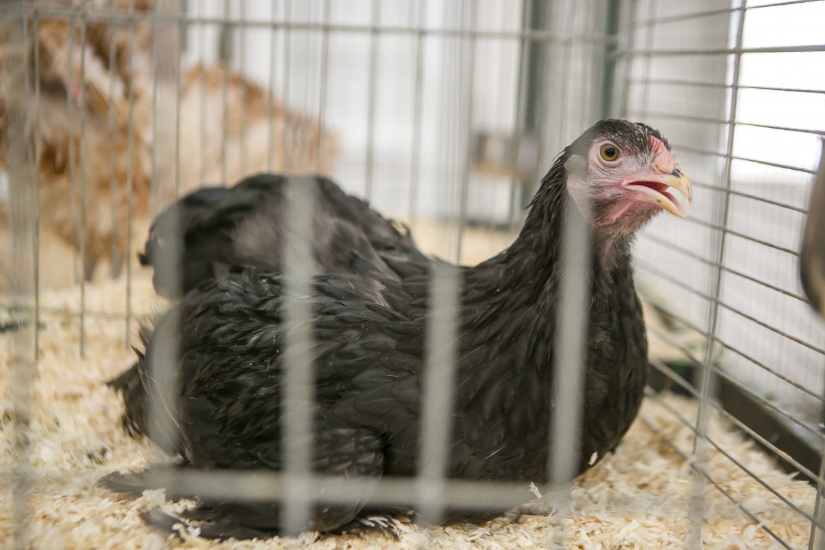 05.07.2019_Editpress_480873