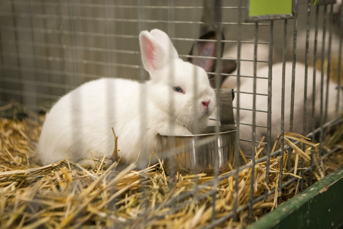 05.07.2019_Editpress_480874