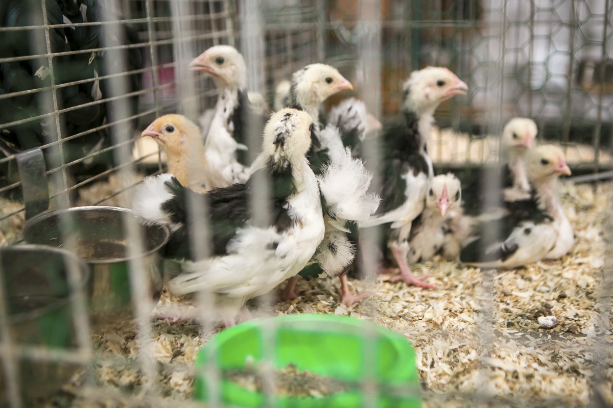 05.07.2019_Editpress_480875