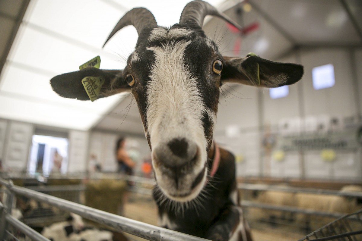 05.07.2019_Editpress_480877