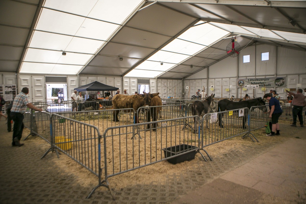 05.07.2019_Editpress_480878