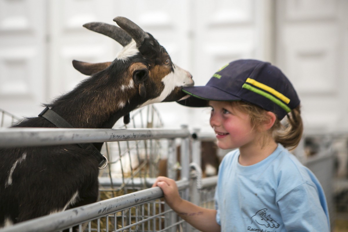 05.07.2019_Editpress_480881