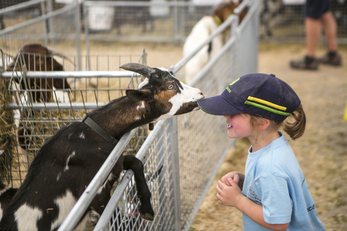 05.07.2019_Editpress_480882