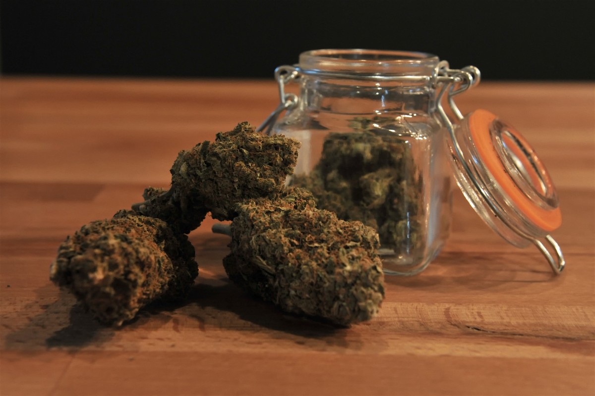 Fehler auf Kosten der Patienten: Jean Colombera kritisiert das Pilotprojekt des medizinischen Cannabis