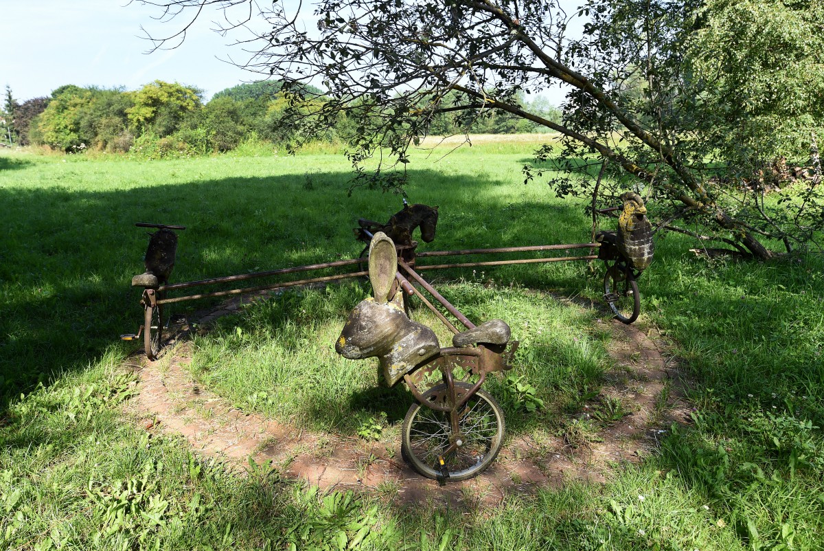 18.07.2019_Editpress_483527